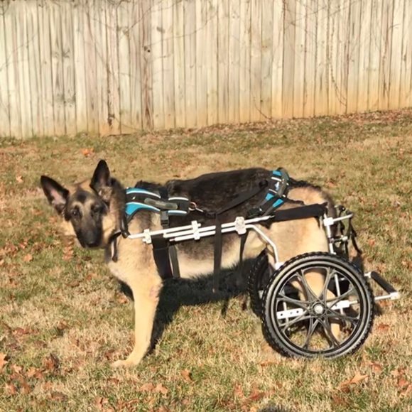 Meet your seller/buyer! I’m Julia 👋🏻 - Picture 11 of 11